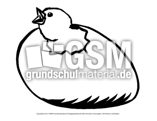 Bilderserie-schlüpfendes-Küken.pdf